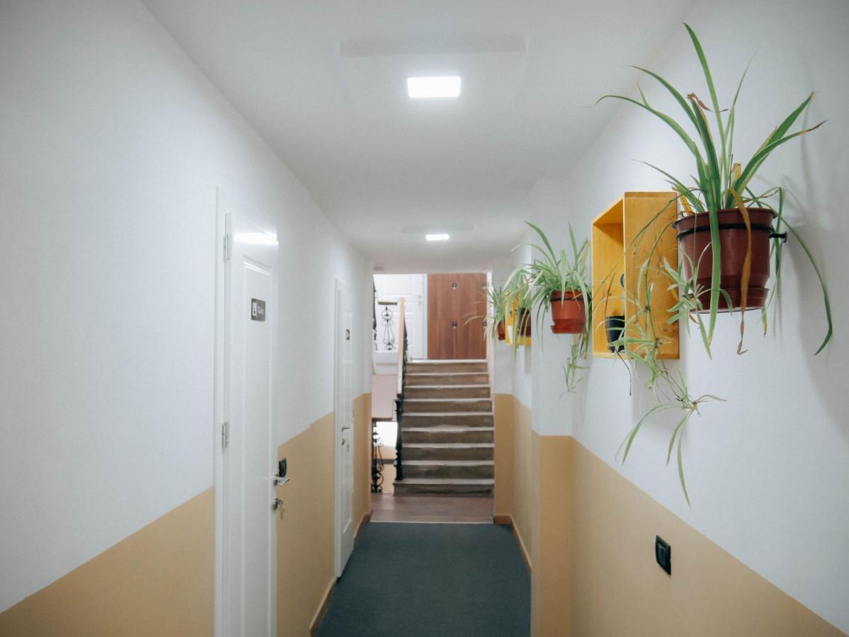 The Maze Hostelティラナ エクステリア 写真