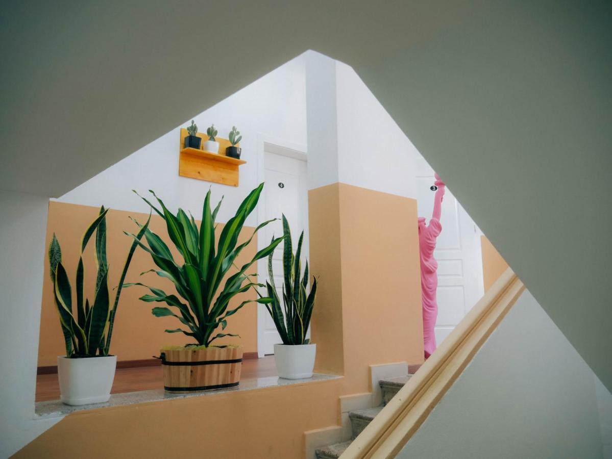 The Maze Hostelティラナ エクステリア 写真